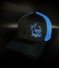 QBEE Hats