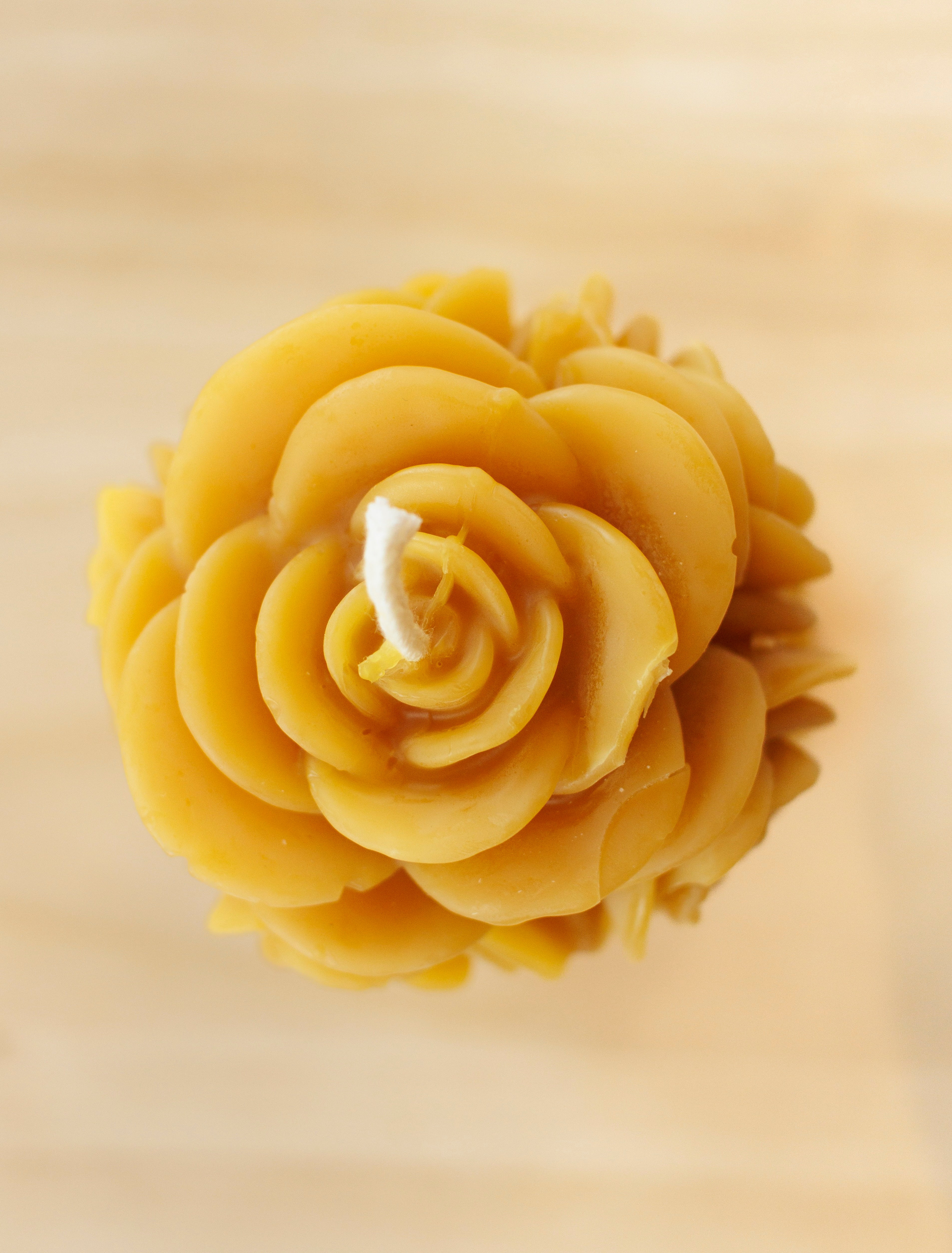 Fading Rose Beeswax Candles