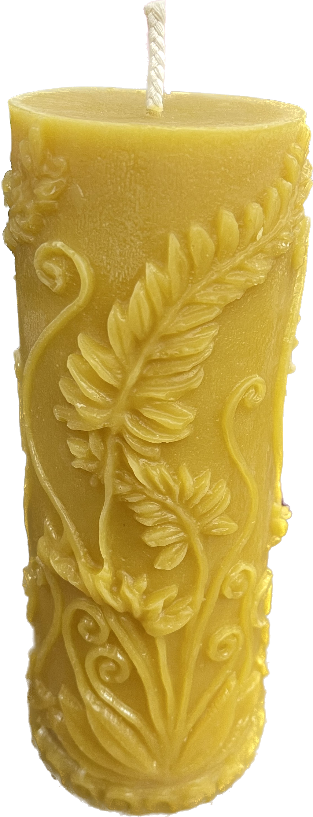 Rustic Fern Beeswax Candle