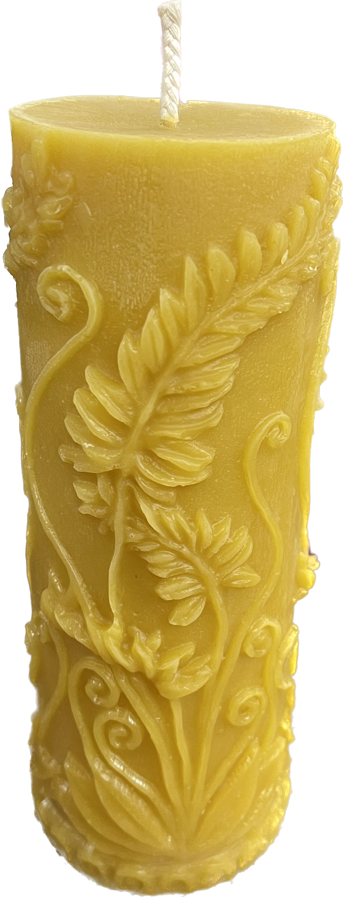 Rustic Fern Beeswax Candle